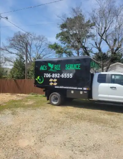 Al's Tree Service Dump Truck with a green bed